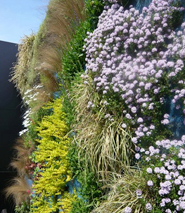 Giardino Verticale