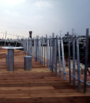 Secondary Landscape