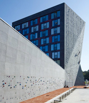 high rise with climbing wall