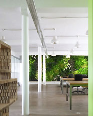 Green Zone