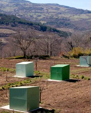Agricoltura urbana - “Orto di Fedro”