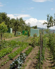 Agricoltura urbana - “Orto di Fedro”