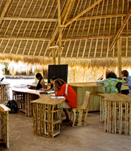 The Green School