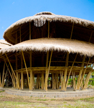 The Green School
