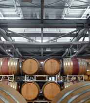 Cantina Vinicola Icario, Montepulciano (Siena), Italia 
