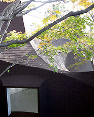 Roku Museum
