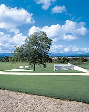 Galeria Mário Sequeira