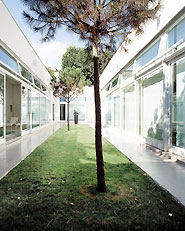 casa a patio