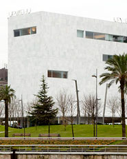 Paraninfo para la Universidad del Pais Vasco