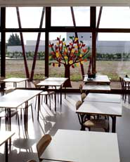 PPS. Ponzano Primary School