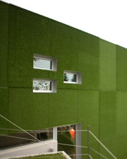Green vision