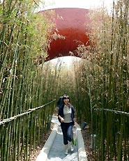 Garden of 10,000 Bridges