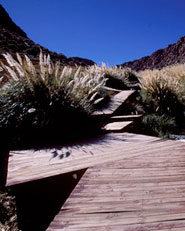 Termas de puritana