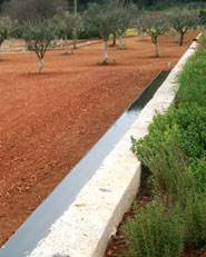 Tenuta di Isasco