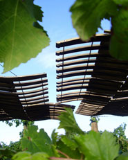 Descanso En Los Viñedos _ Arquitecto : Macarena Avila Burdiles
