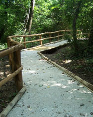 Percorso didattico naturalistico accessibile
