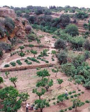 Giardino Della Kolymbetra 
