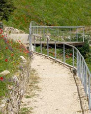 Sistemazione paesaggistica del Costone di viale Ciusa