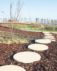 Park Atop The New Horta Bus Deposit In Barcelona