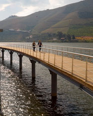 Tourist and Fluvial Pier of Folgosa
