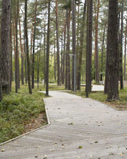Dzintari Forest Park