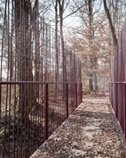 Interventi per il Bosco di Carpenedo
