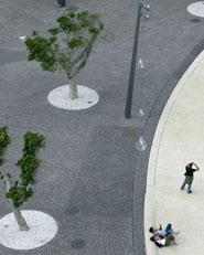 Remodelación de la Plaza España