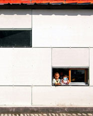 NewBud Eco-School