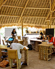 The Green School