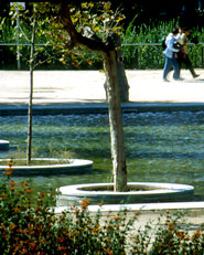 El príncep de Girona gardens