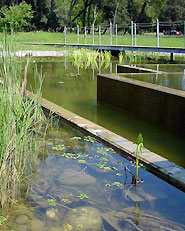 L’Acquario