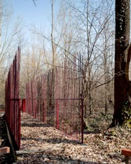 Interventi per il Bosco di Carpenedo