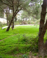 Parque Aventura