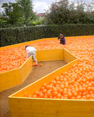 ORANGE POWER