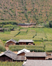 Dazu Eco-School