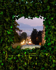Green Windows