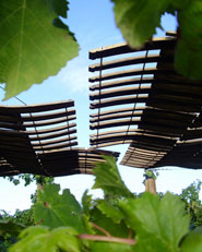 Descanso En Los Viñedos _ Arquitecto : Macarena Avila Burdiles