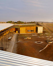 ITHUBA IPHIKO