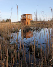 Observation platforms in Pfrunger Ried