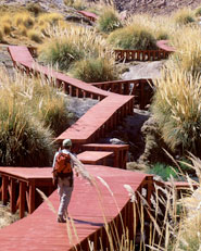 Termas de puritana