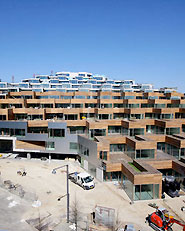 Mountain Dwellings