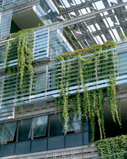 Sino-Italian Ecological and Energy Efficient Building