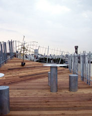 Secondary Landscape