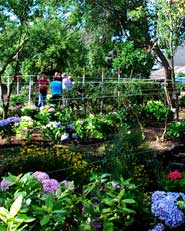 Il giardino della dimora Galluppi
