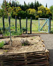 Kitchen Garden