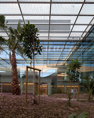 Champalimaud Centre