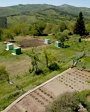 Agricoltura urbana - “Orto di Fedro”