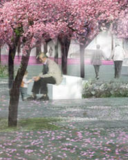 June Callwood Park Design Competition