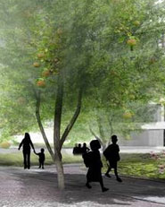 A Fragmented Orchard