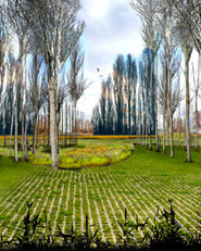 Parque Urbano de Valdebebas